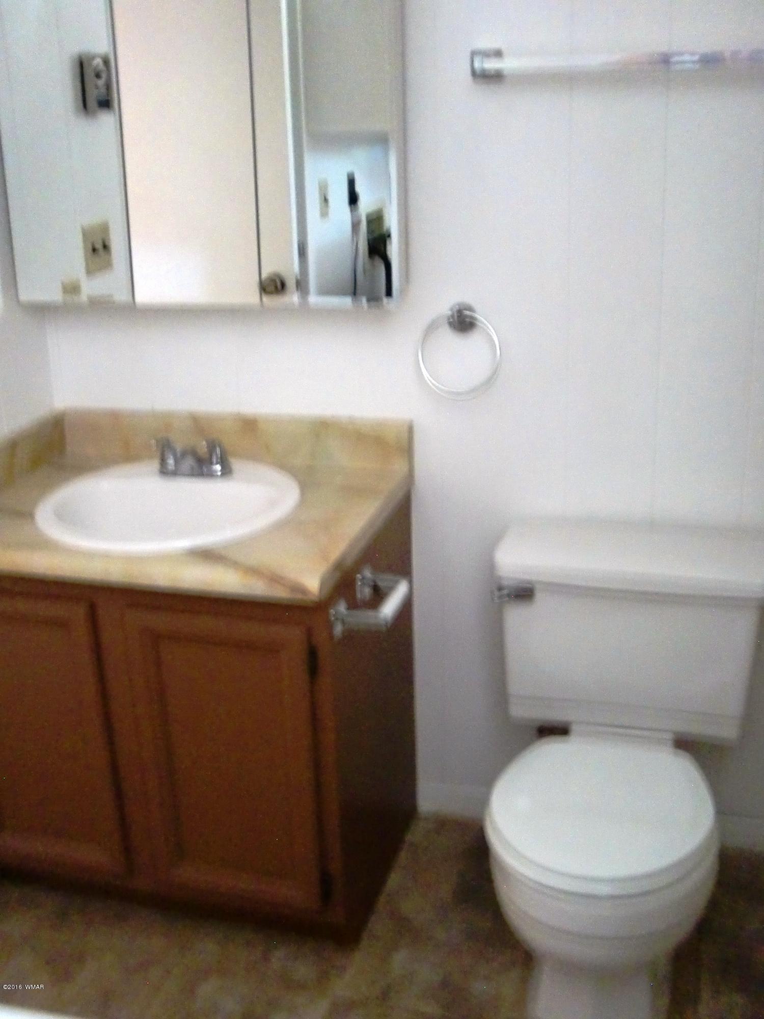 2904 West Rim Road Lakeside, AZ 85929 - Photo 10 of 32