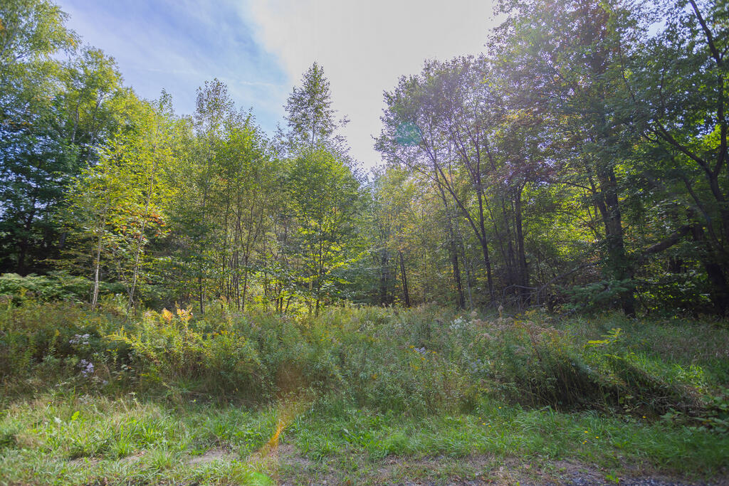 25 Colby Miller Road Wilton, ME 04294 - Photo 2 of 3 sandy-river-realty-2