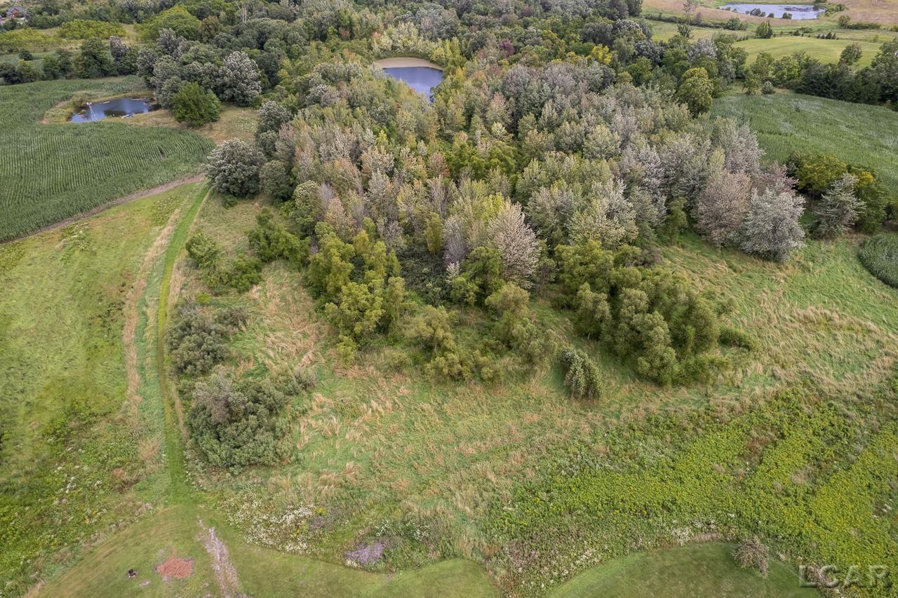 13986 Beecher Road Hudson, MI 49247 - Photo 62 of 66 Gallery Image 62