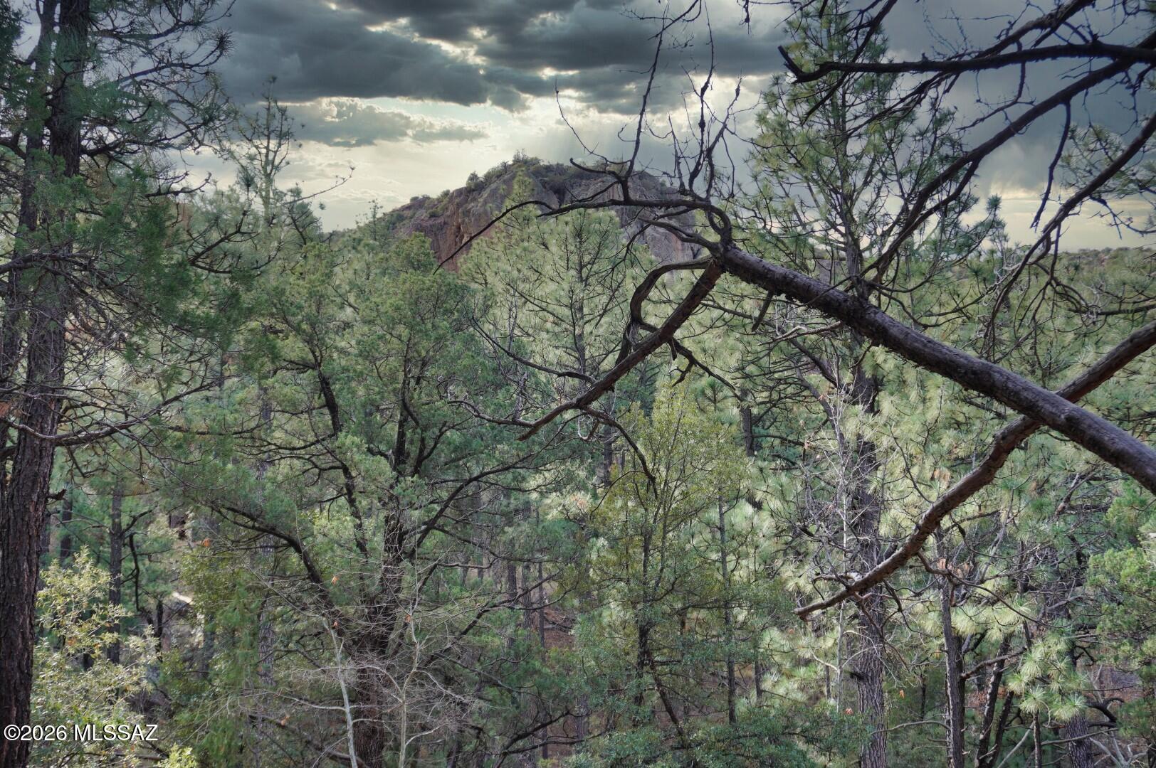 13223 East Turkey Creek Road Pearce, AZ 85625 - Photo 9 of 49