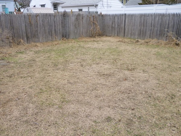 102 San Miguel Street Springfield, MA 01104 - Photo 9 of 12