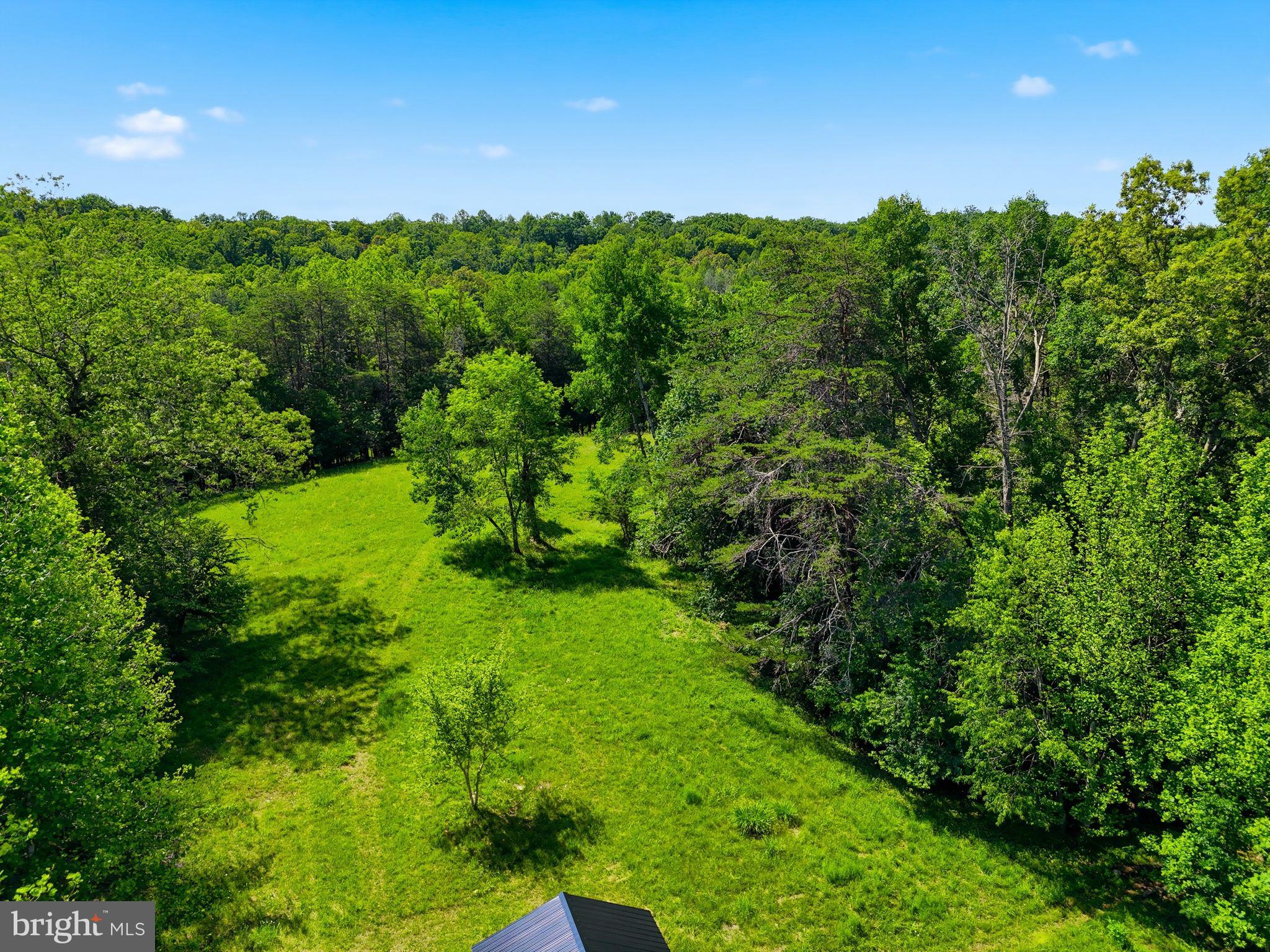 Castle Rock Lane Castleton, VA 22716 - Photo 6 of 15