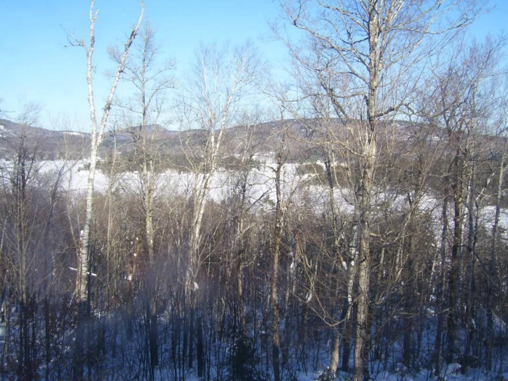 77 Mitchell Pond Road Dedham, ME 04429 - Photo 13 of 13 Photo
