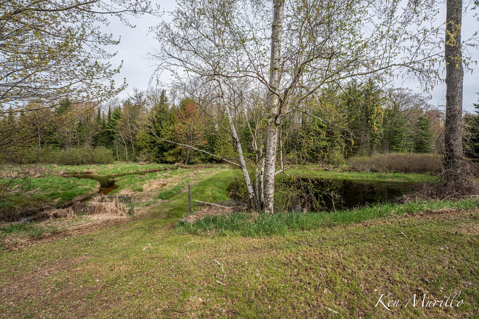1519 North Roscommon Road Roscommon, MI 48653 - Photo 57 of 72 1519 N Roscommon-18