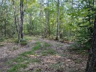 220 Perkins Road Burnham, ME 04922 - Photo 24 of 32 Road to River