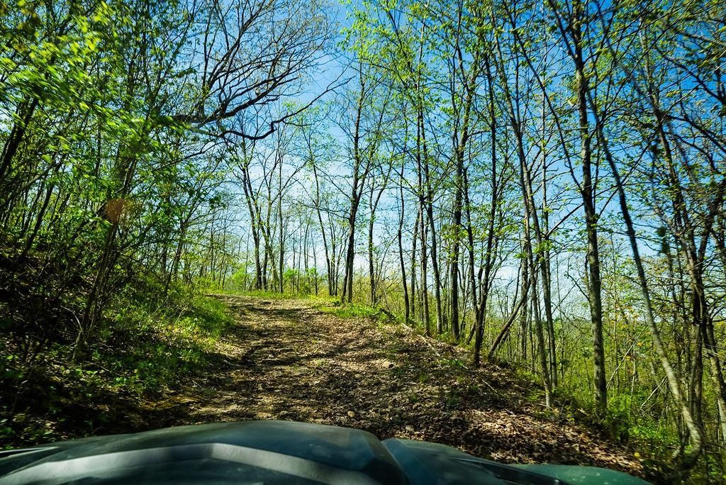 17797 Dayton Ridge Road Muscoda, WI 53573 - Photo 26 of 75