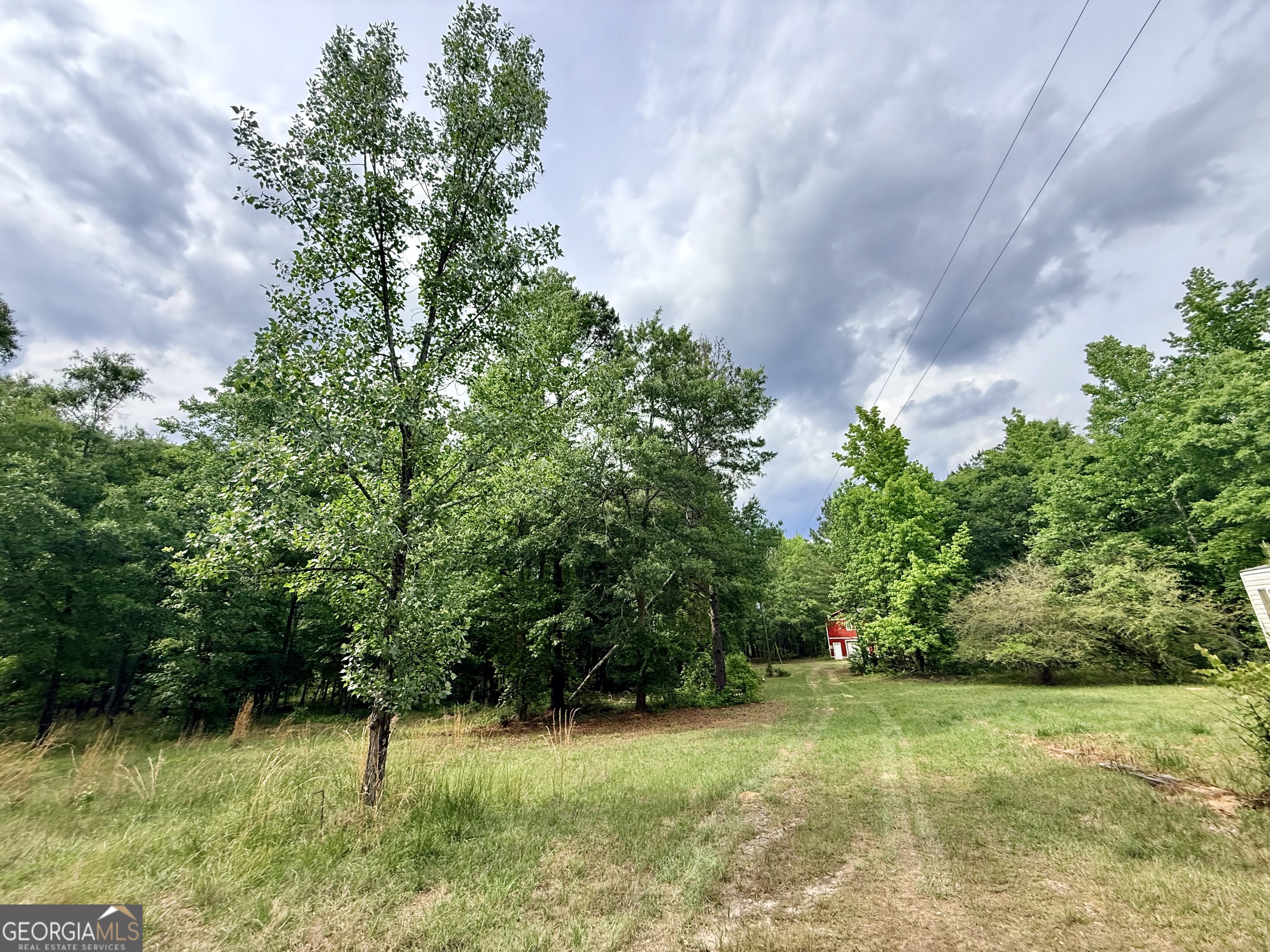 715 Fulsome Creek Road Sparta, GA 31087 - Photo 4 of 117