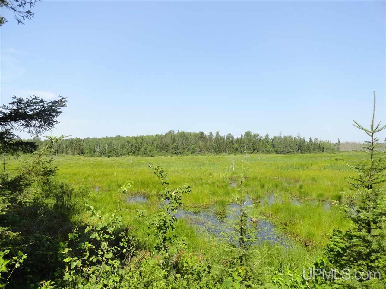 8878 Co Road Republic, MI 49879 - Photo 19 of 34