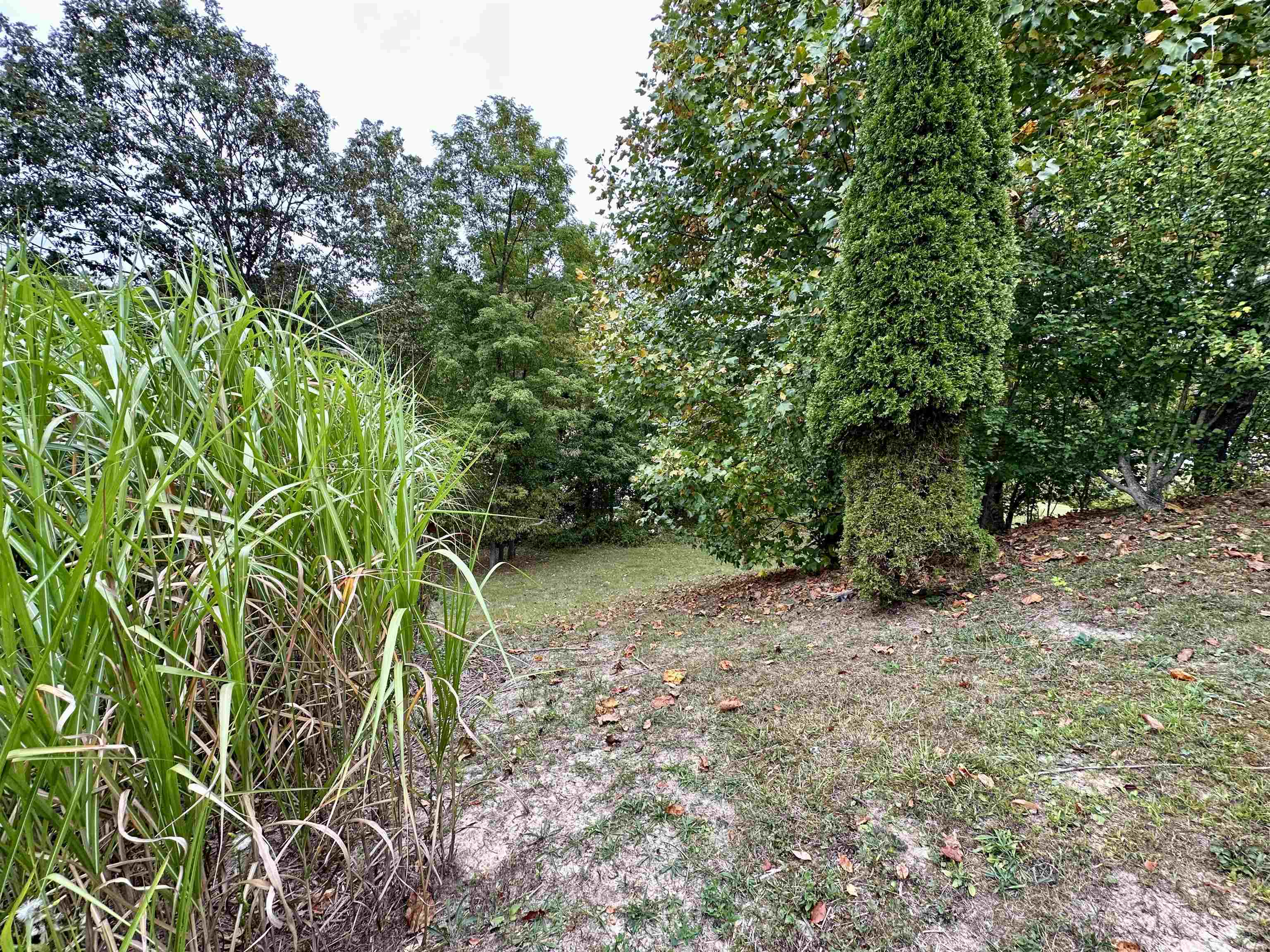 1027 Chippewa Road Ashland, KY 41102 - Photo 23 of 26