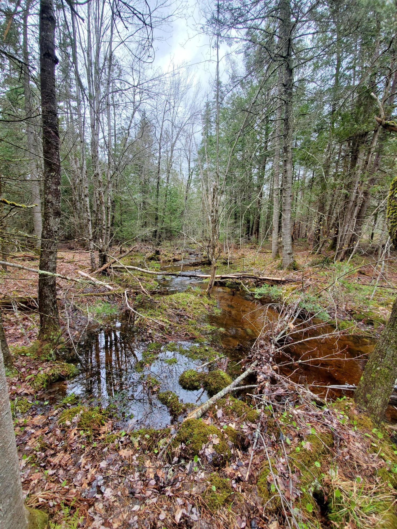 37 Haley Road Winterport, ME 04496 - Photo 15 of 17 20200516_132639
