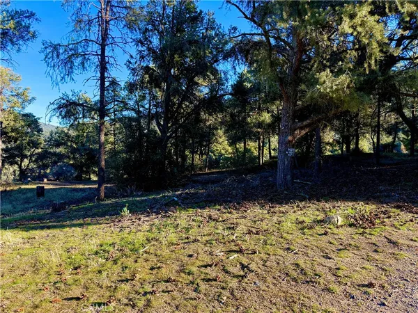 a view of small garden