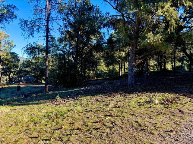 a view of small garden