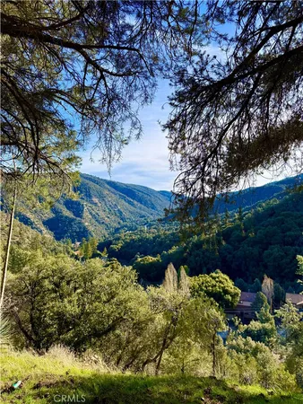 a view of a garden with a tree