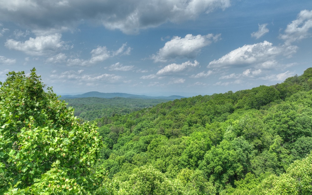 356 Locust Gap Road Mineral Bluff, GA 30559 - Photo 34 of 57 Additional View