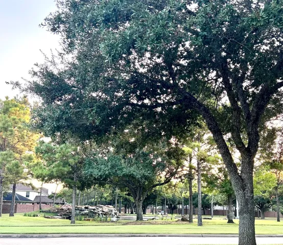 $2,450 | 26418 Meadow Dawn Lane, Katy, TX 77494