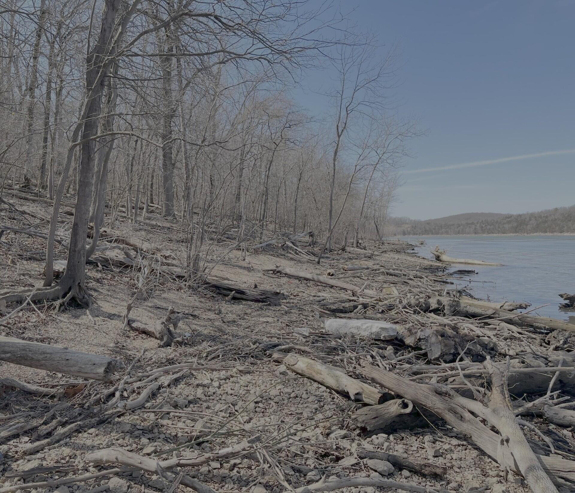 Lot 1 Fox Fire Lane Shell Knob, MO 65747 - Photo 12 of 13 Lake 12