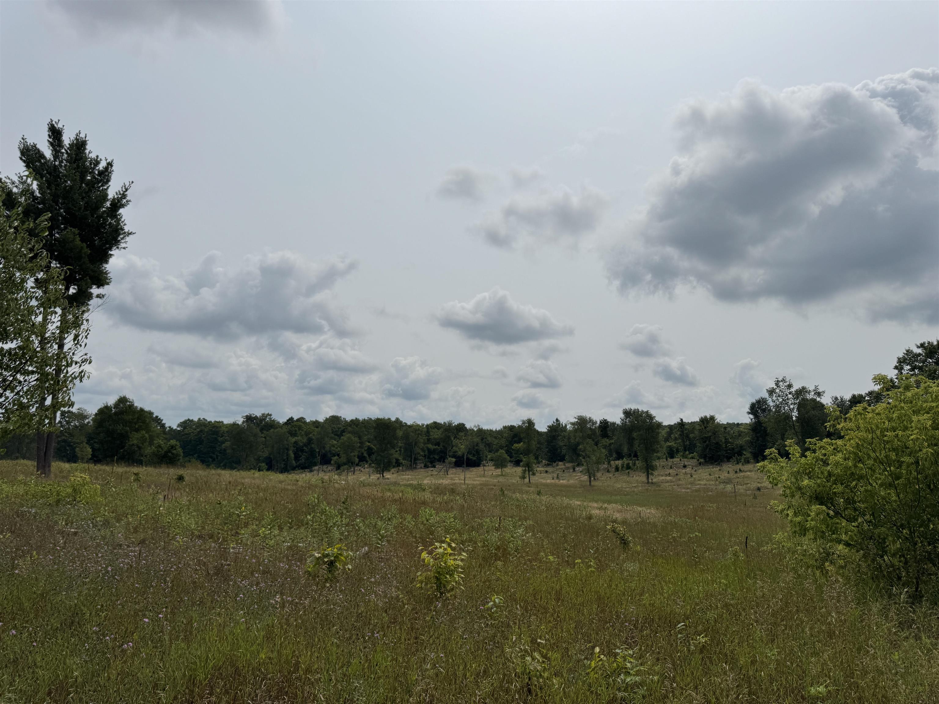 22015 Benton Road Copemish, MI 49625 - Photo 62 of 65 1949341-e6bf4290-08d8-499c-9452-cb8fcadfee09.JPG