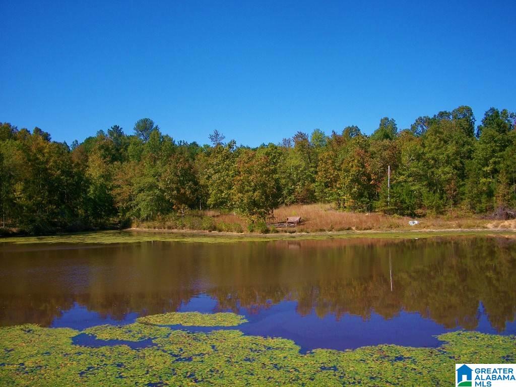 205 Gessler Drive Ohatchee, AL 36271 - Photo 41 of 50