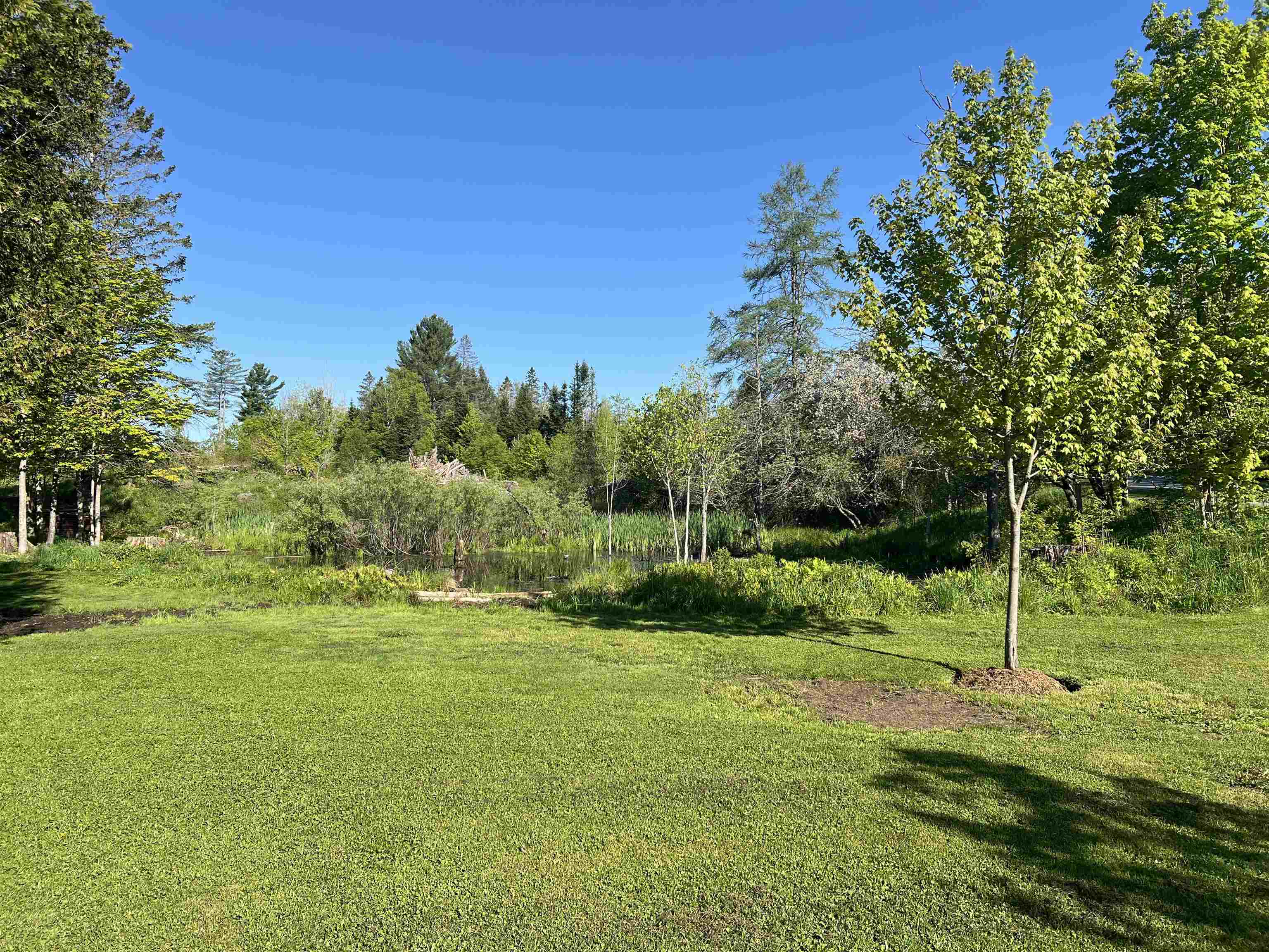 457 The Bend Road Greensboro, VT 05842 - Photo 15 of 22