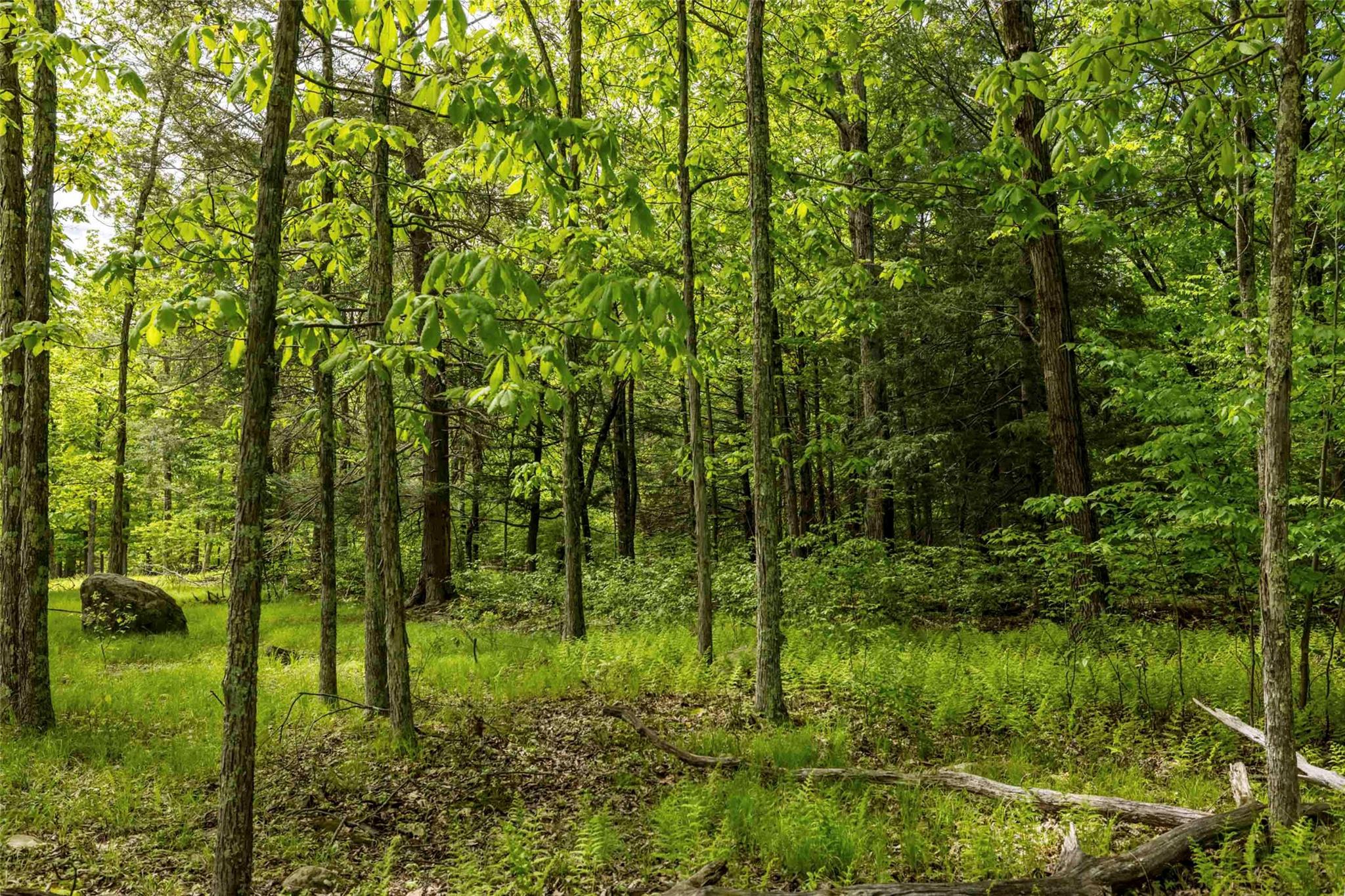 8 Forest Camp Road Wawarsing, NY 12489 - Photo 10 of 19 a view of a garden