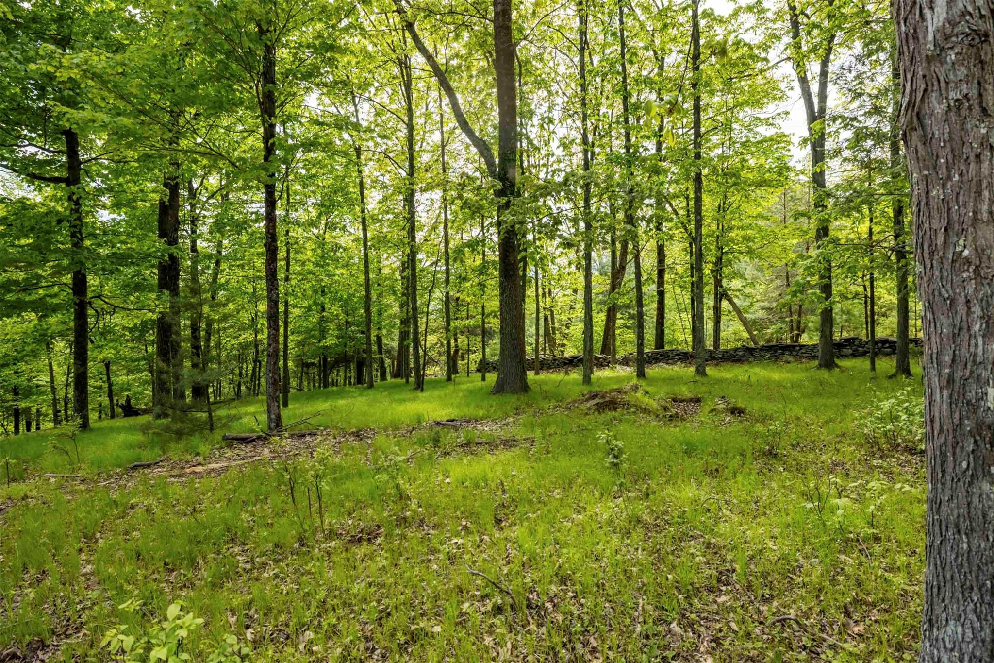 8 Forest Camp Road Wawarsing, NY 12489 - Photo 12 of 19 a view of outdoor space with a garden