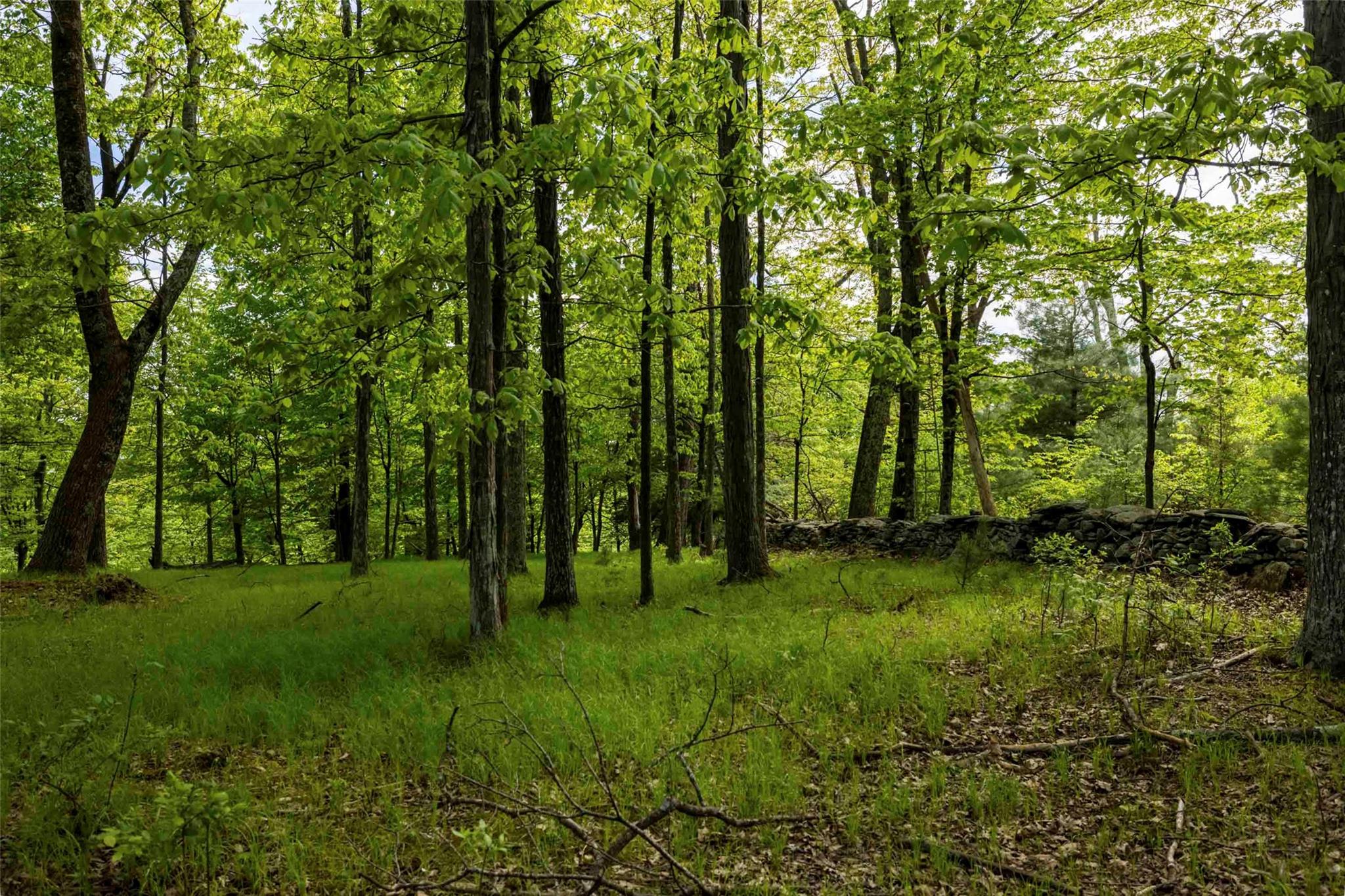 8 Forest Camp Road Wawarsing, NY 12489 - Photo 13 of 19 a view of grassy field with trees
