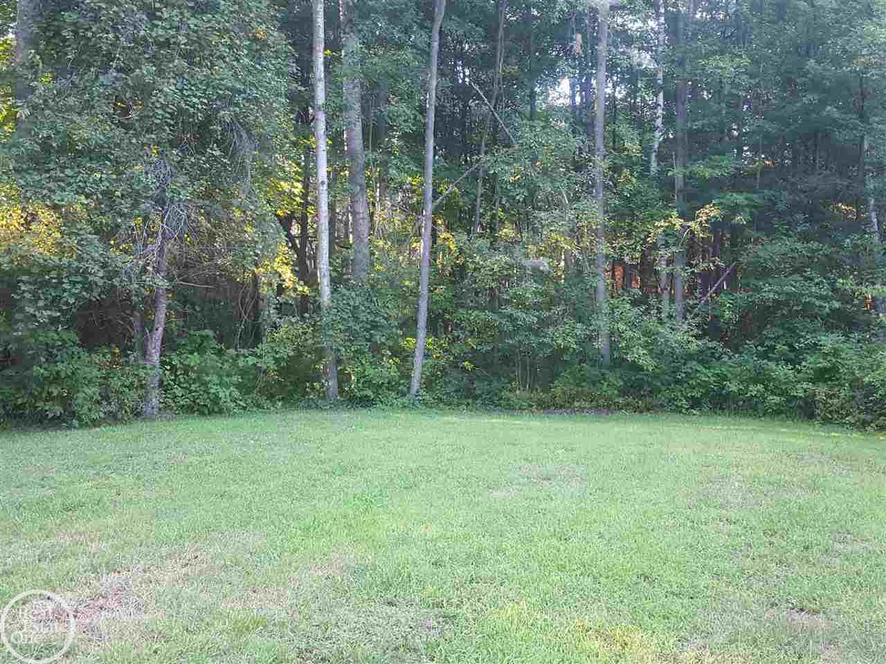 4396 Mortimer Line Road Croswell, MI 48422 - Photo 30 of 42 31300867-29.JPG