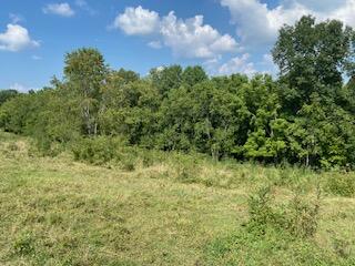 294 Hooster Run Road Wellington, KY 40387 - Photo 8 of 24 IMG_0740