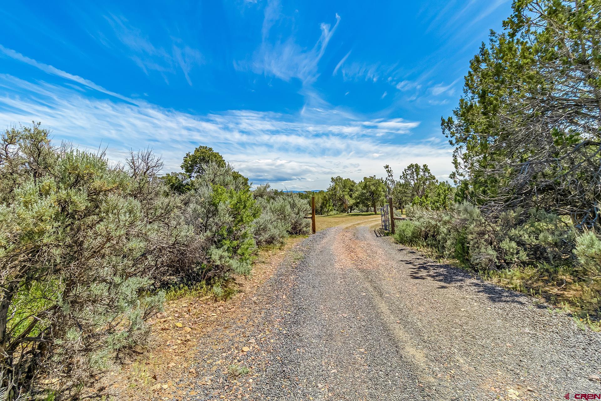 26986 Cactus Park Road Cedaredge, CO 81413 - Photo 37 of 43