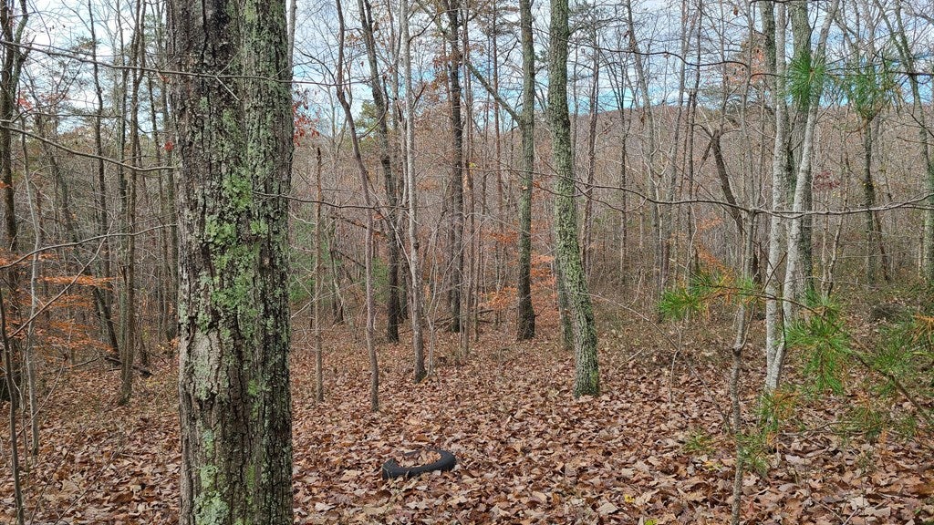 Welsh Mt Road, Unit 7 & 8 Shipman, VA 22971 - Photo 10 of 23 Gallery Image 10
