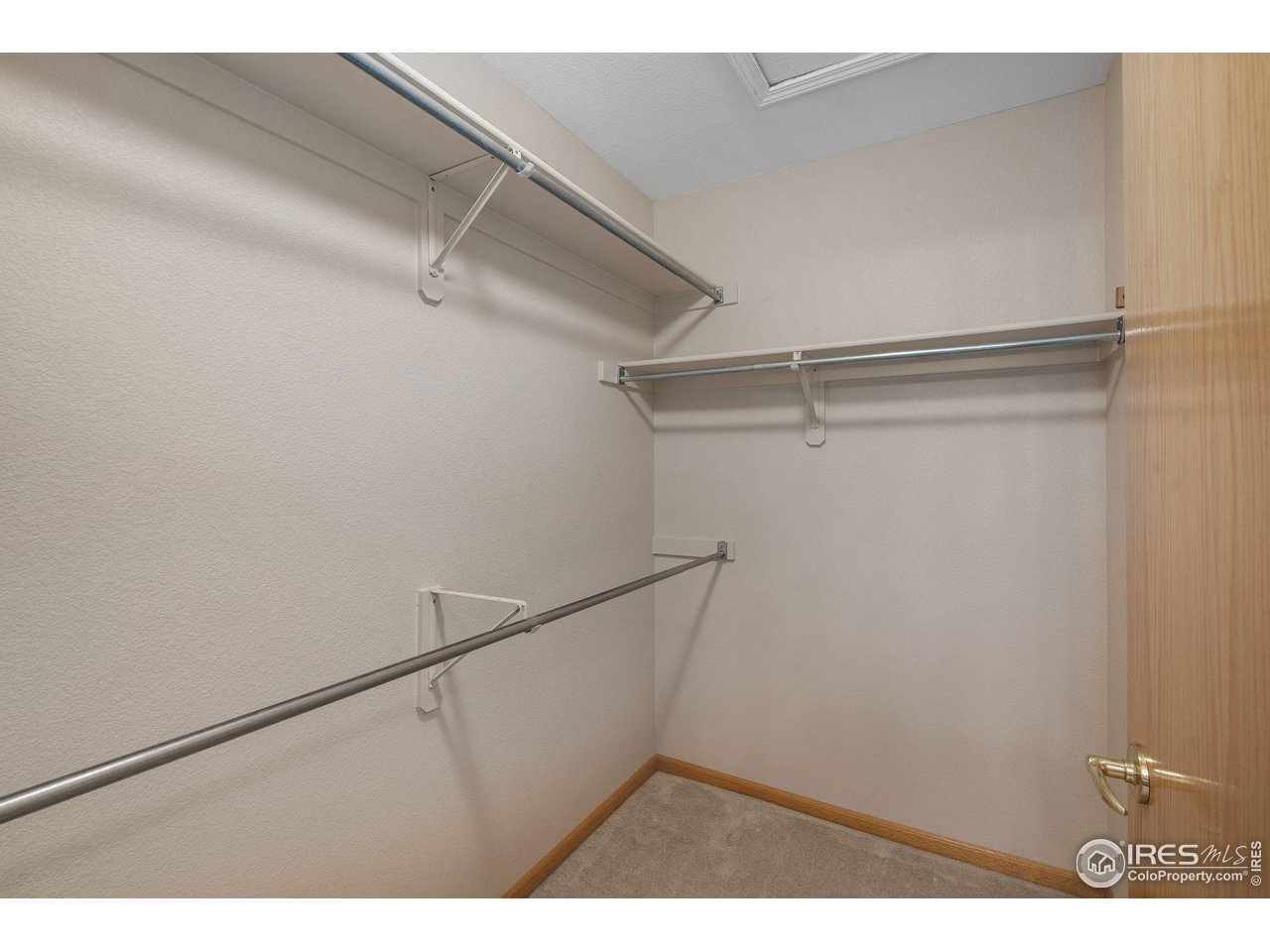 2656 Paddington Road Fort Collins, CO 80525 - Photo 27 of 50 Primary Walk in Closet