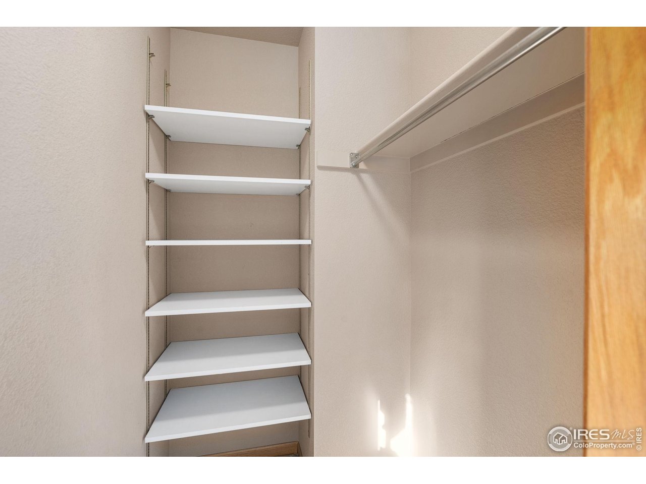 2656 Paddington Road Fort Collins, CO 80525 - Photo 28 of 50 Primary Walk in Closet