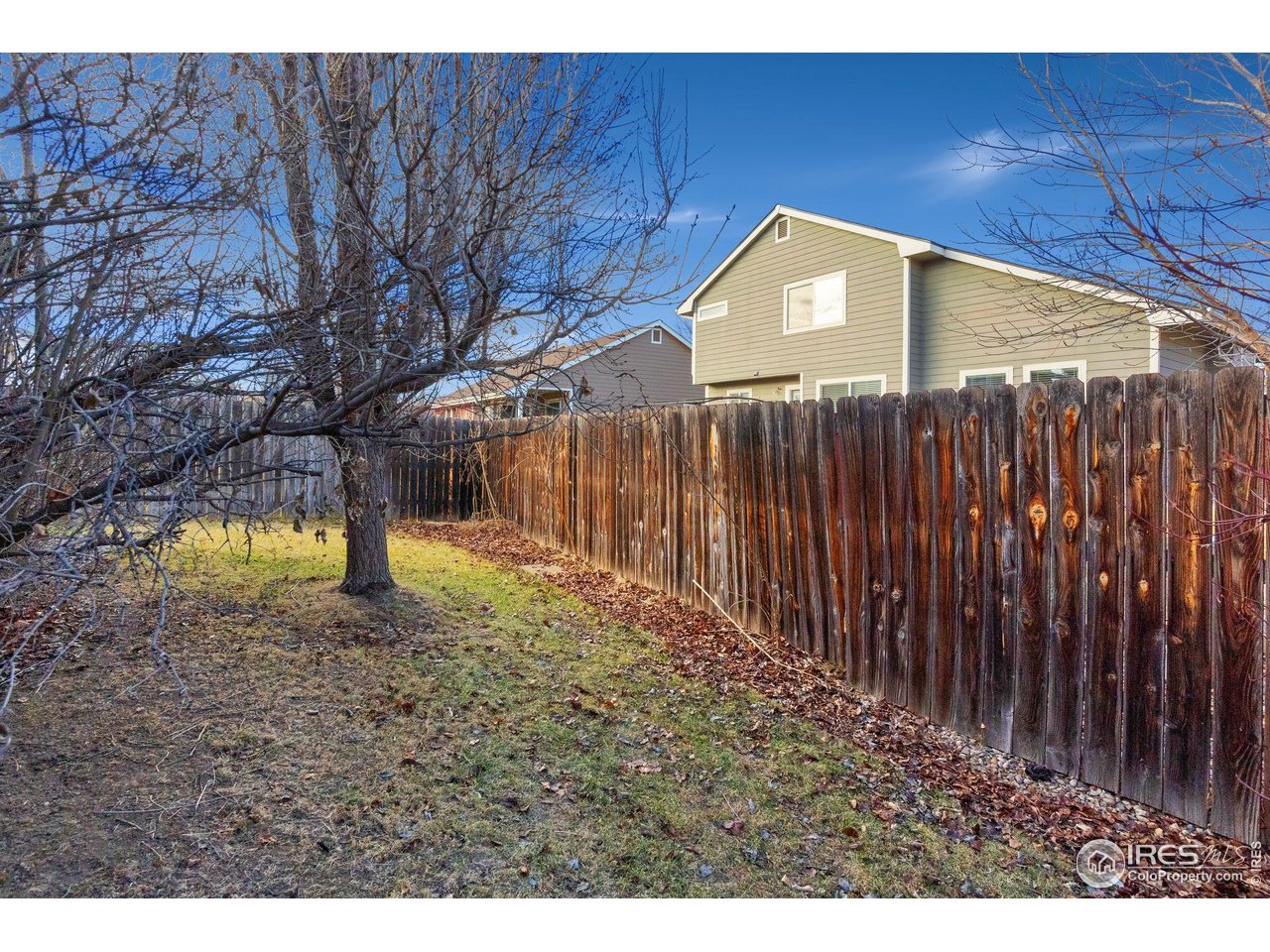 2656 Paddington Road Fort Collins, CO 80525 - Photo 47 of 50
