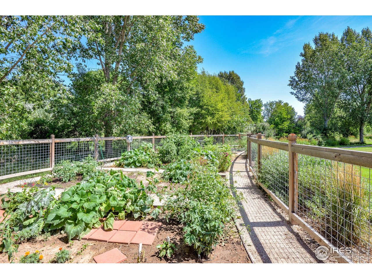 2656 Paddington Road Fort Collins, CO 80525 - Photo 48 of 50