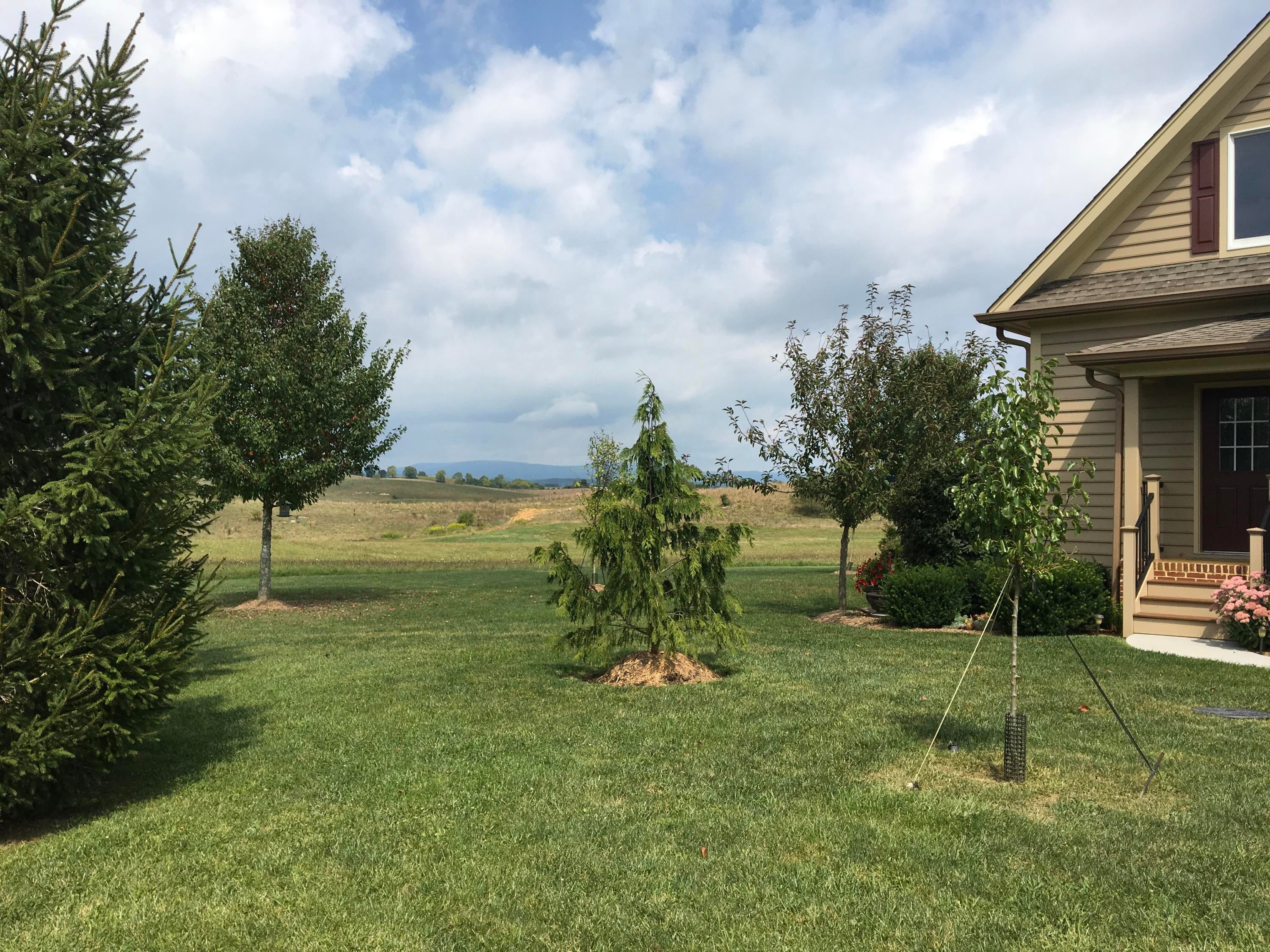 411 James River Road Lewisburg, WV 24901 - Photo 14 of 83 Gallery Image 14