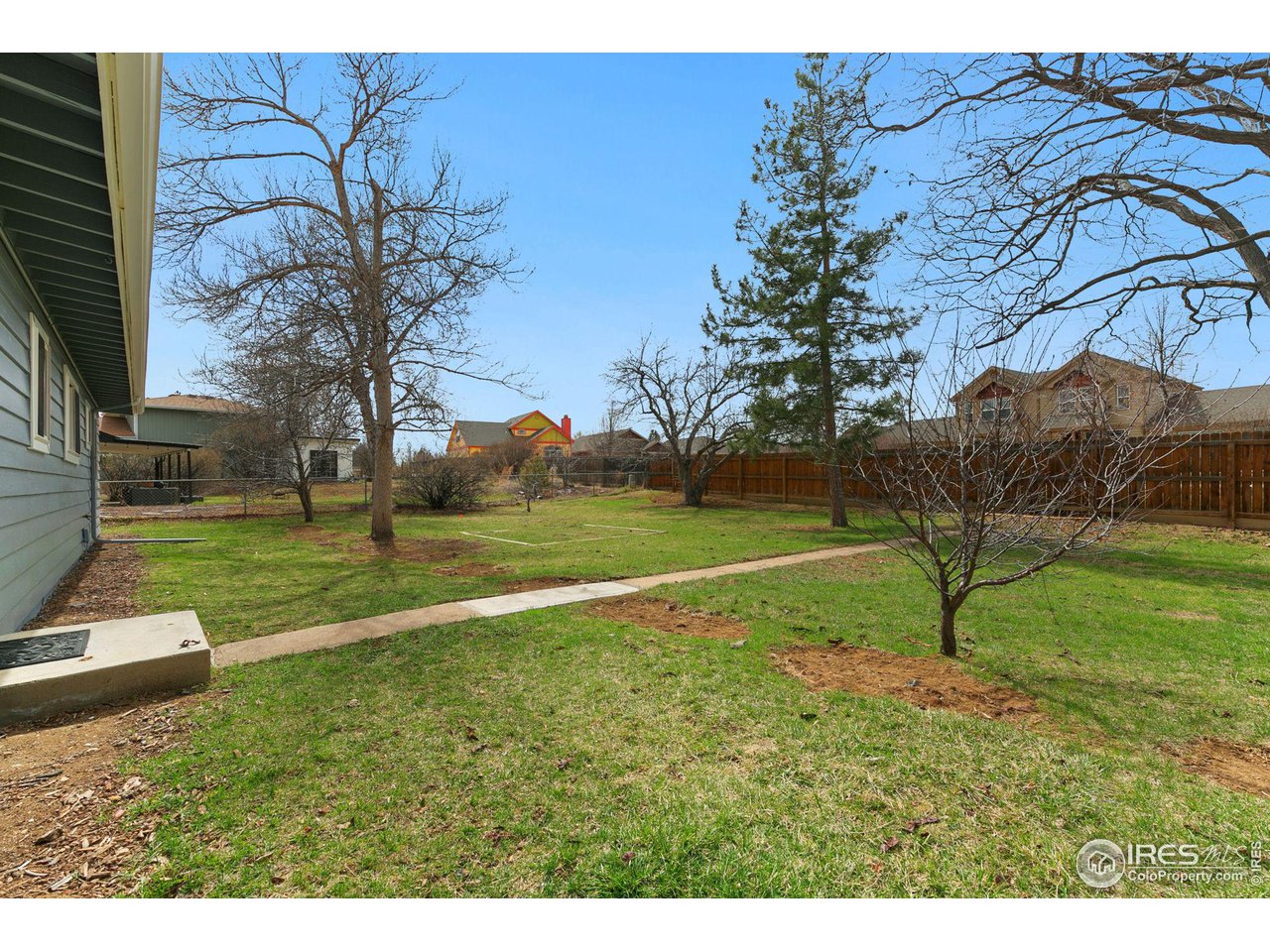 533 Crestmore Place Fort Collins, CO 80521 - Photo 16 of 19 a view of a garden with a tree