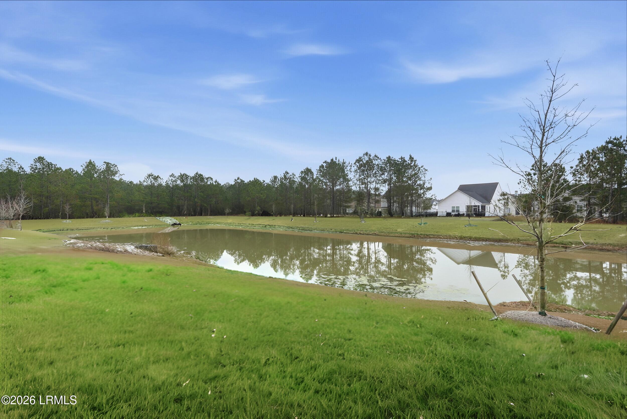 208 Givhans Loop Hardeeville, SC 29927 - Photo 24 of 30 23