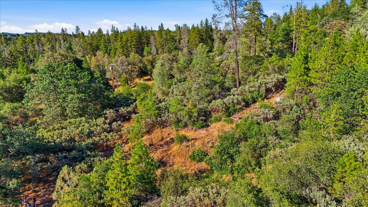 17436 Black Forest Road Penn Valley, CA 95946 - Photo 17 of 36