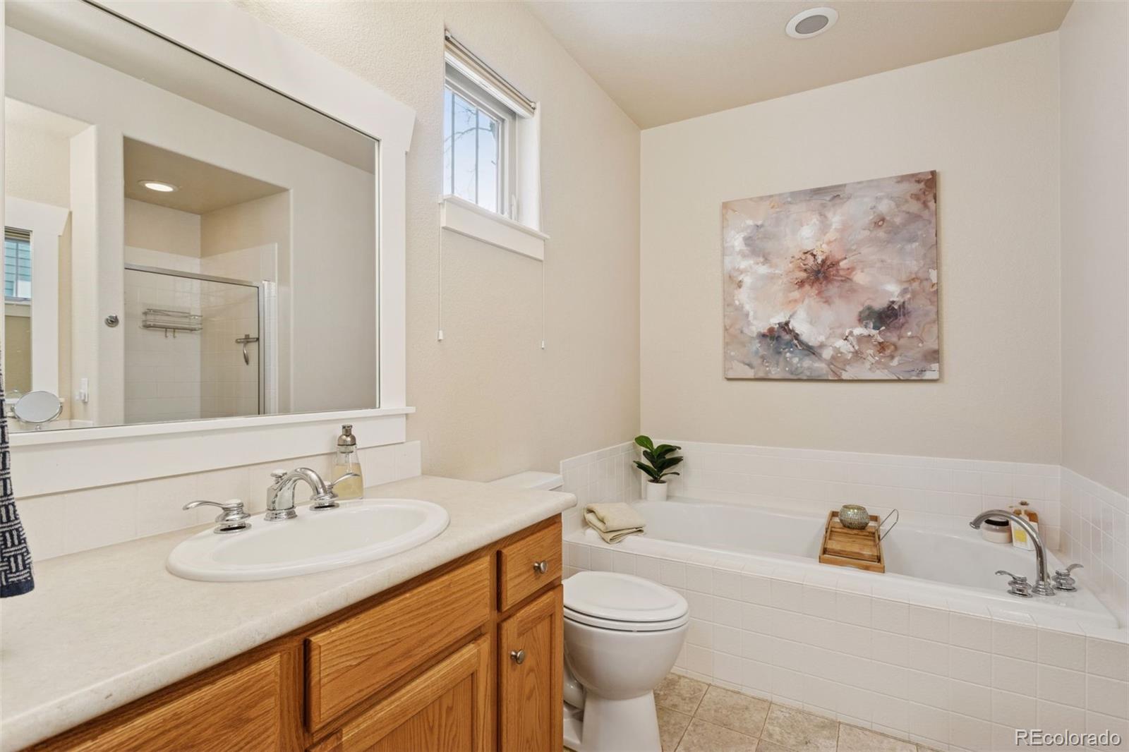 2882 Alton Street Denver, CO 80238 - Photo 17 of 42 a bathroom with a sink a toilet and a mirror
