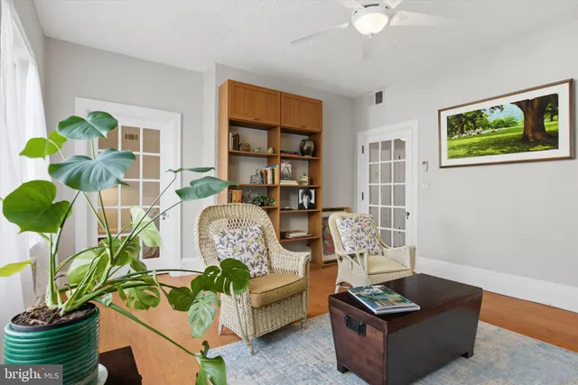 a living room with furniture potted plant and window