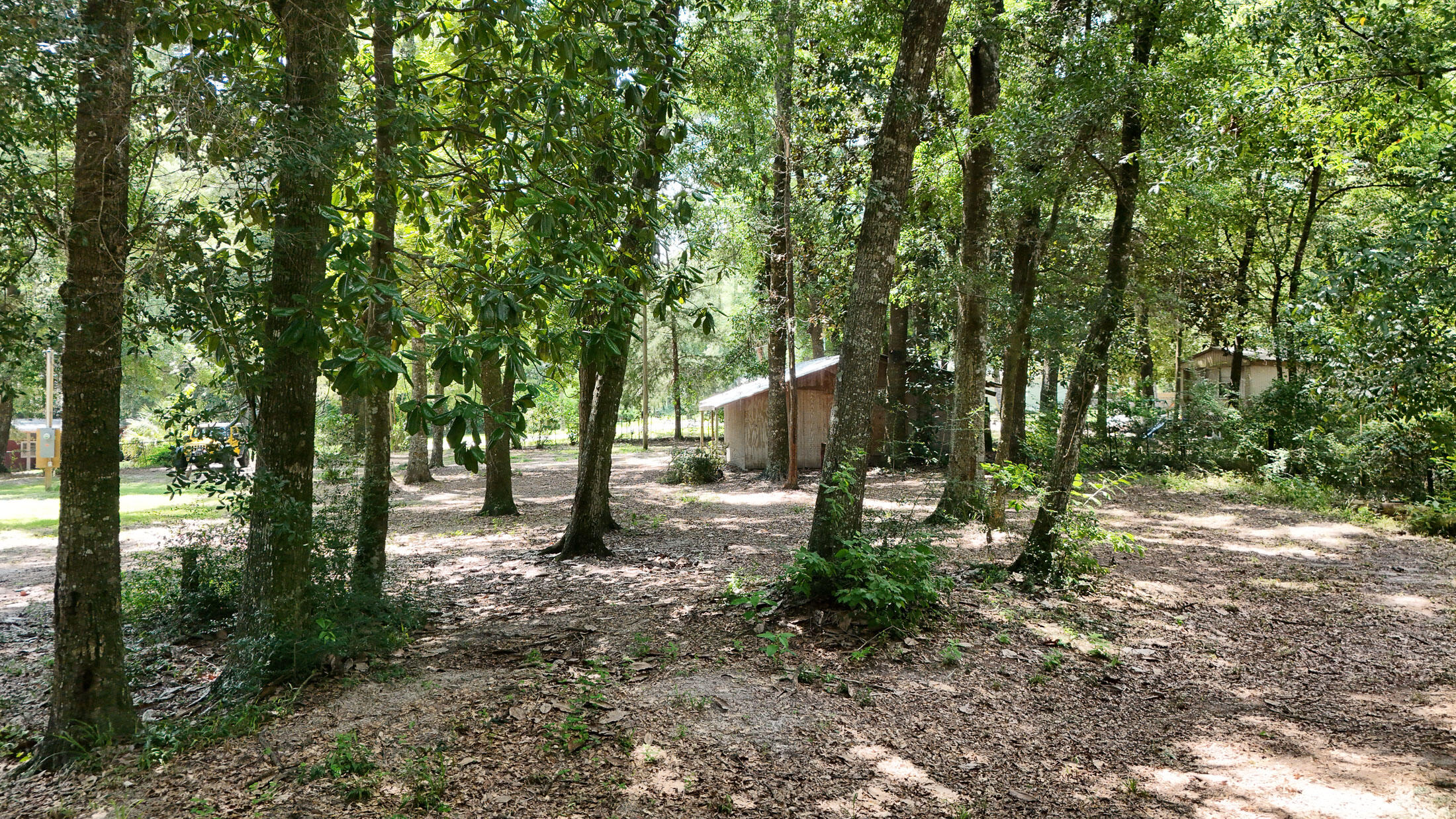 225 Wesley Road DeFuniak Springs, FL 32433 - Photo 9 of 18 DJI_20240806141809_0064_D