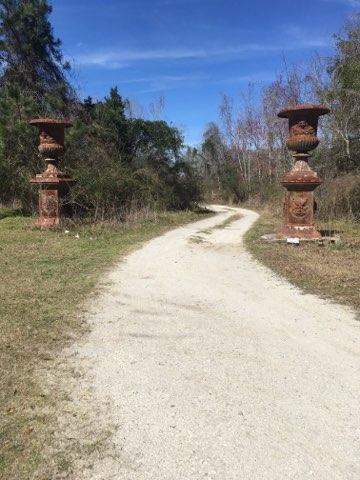 3290 Joe Wright Road Johns Island, SC 29455 - Photo 1 of 13 IMG_4902