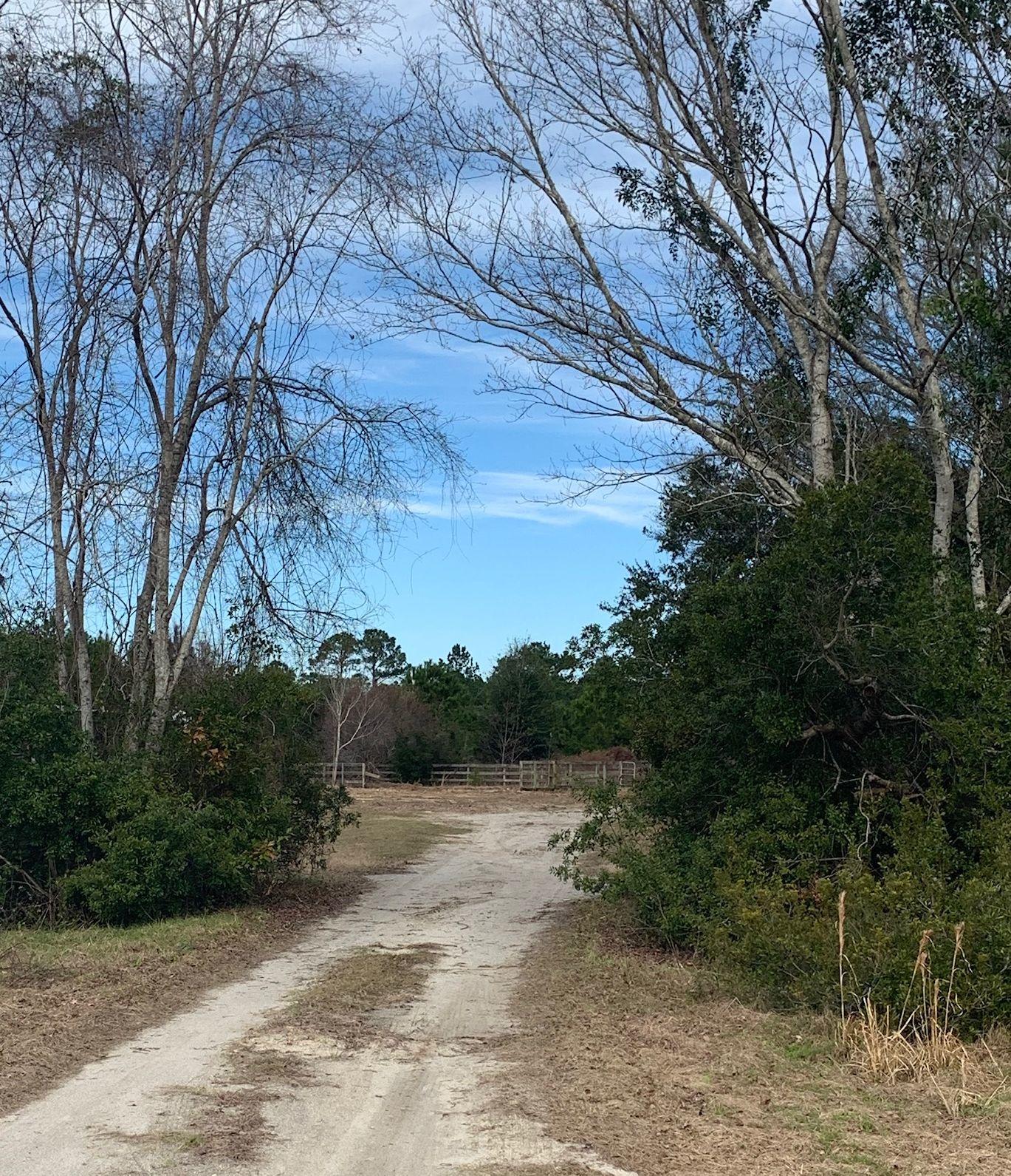 3290 Joe Wright Road Johns Island, SC 29455 - Photo 3 of 13 Drive