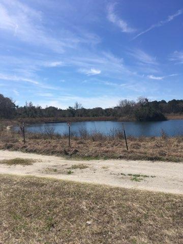 3290 Joe Wright Road Johns Island, SC 29455 - Photo 4 of 13 IMG_4895