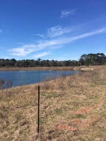 3290 Joe Wright Road Johns Island, SC 29455 - Photo 5 of 13 IMG_4899