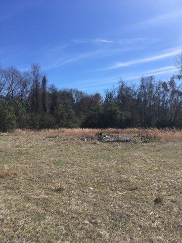 3290 Joe Wright Road Johns Island, SC 29455 - Photo 7 of 13 IMG_4894