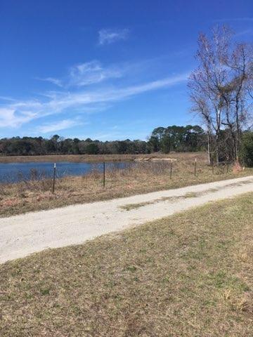 3290 Joe Wright Road Johns Island, SC 29455 - Photo 8 of 13 IMG_4896