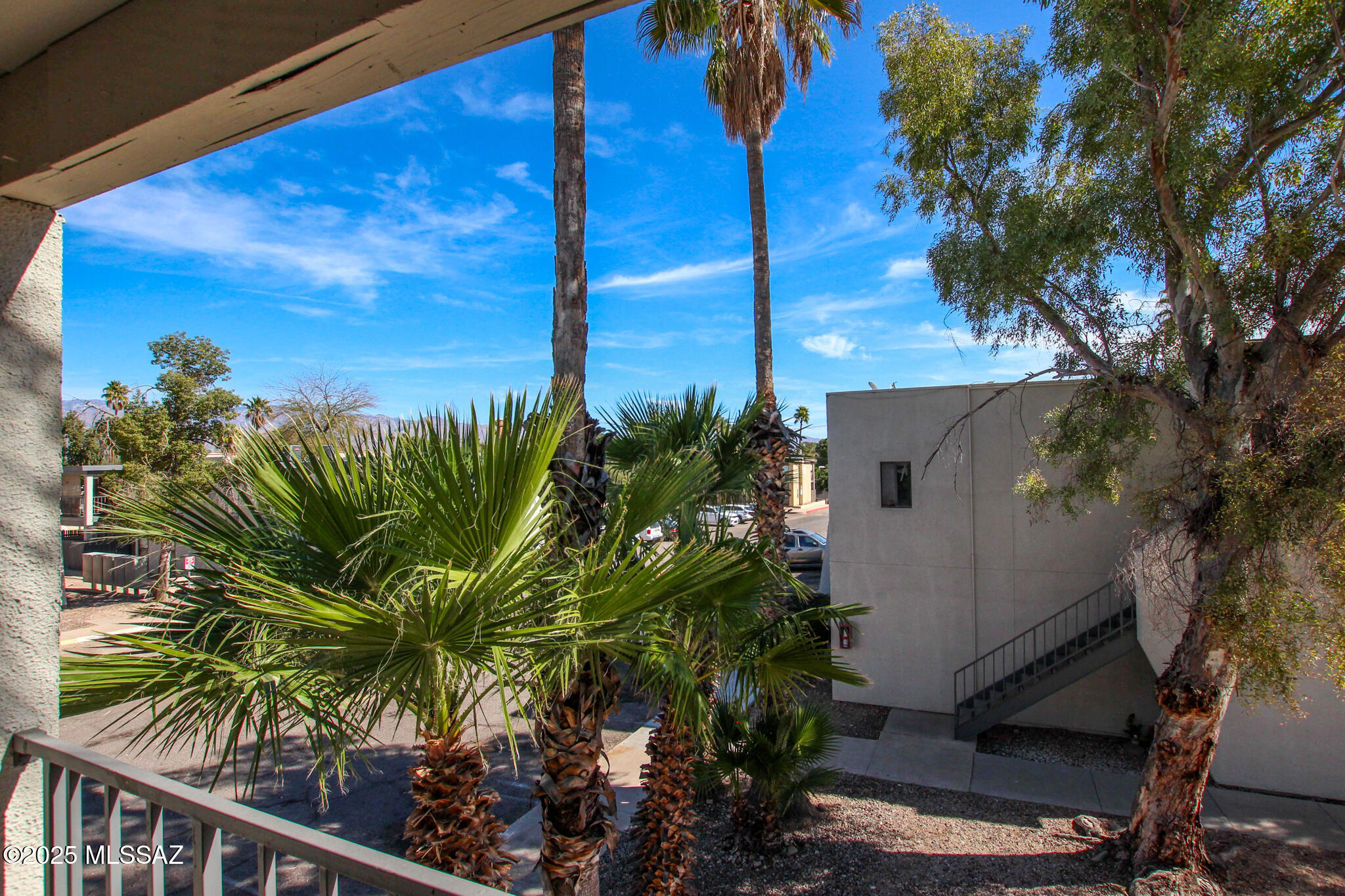 1620 North Wilmot Road, Unit P288 Tucson, AZ 85712 - Photo 29 of 32