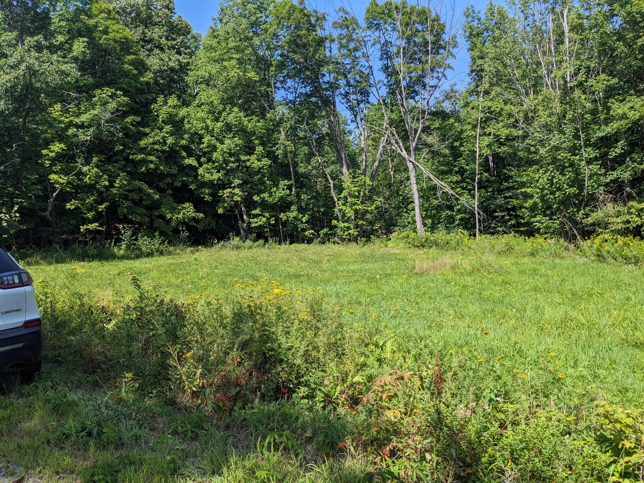 Lot 18 Iisalo Road Temple, ME 04984 - Photo 3 of 3 81929fef-749b-4492-b448-2a1b653d51fa