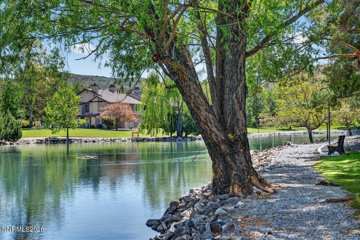 4380 Matich Drive Reno, NV 89502 - Photo 17 of 21 lake area